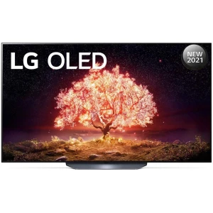 TV LG OLED65B1PVA